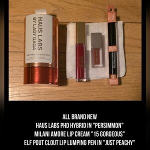 Haus Labs By Lady Gaga PHD Hybrid Lip Gloss - Persimmon